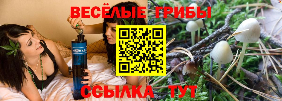 Галлюциногенные грибы Cubensis Кстово